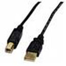 Xtech - USB cable - 3.04 m - 4 pin USB Type B - 4 pin USB Type A