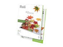 Papel fotográfico brillante KPG-120 tamaño carta – Klip Xtreme